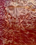 "���������" �������, �����, ��������. 110�85 1979�.