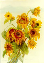 ����������, ���., �., 1993, 52�36