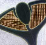 "������� ����� ����". ������, �������. 48x48 (�.�.)