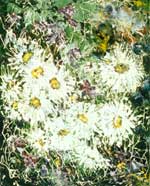 ���� � ���������. �., ���. 50�40 1996