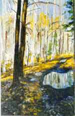 ����, ������ �����, 40�25, ���., �. 1996