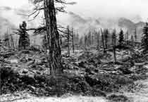 ������ ��������