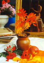 ���������.