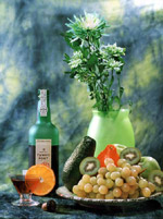 ������ ���������