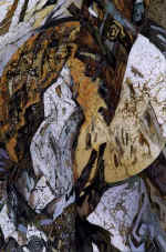 �� ����. ������� �.�. "����������� � ������", ������� �����